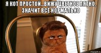 я кот простой...вижу цветное пятно, значит всё нормально 