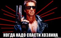  когда надо спасти хозяина