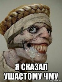  я сказал ушастому чму