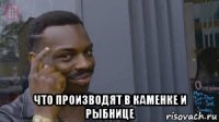  что производят в каменке и рыбнице