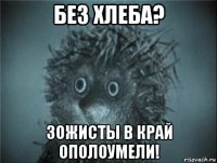 без хлеба? зожисты в край ополоумели!