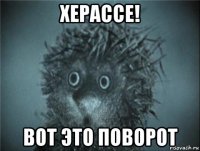 херассе! вот это поворот