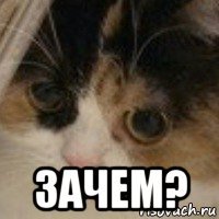  зачем?