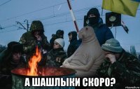  а шашлыки скоро?