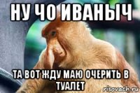 ну чо иваныч та вот жду маю очерить в туалет