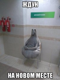 ждун на новом месте