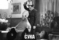 на сука