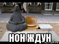  нон ждун