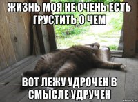 жизнь моя не очень есть грустить о чем вот лежу удрочен в смысле удручен