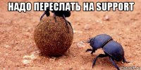 надо переслать на support 