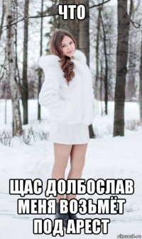 что щас долбослав меня возьмёт под арест