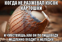 когда не разжевал кусок картошки и чувствуешь,как он по пищеводу медленно уходит к желудку