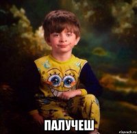  палучеш