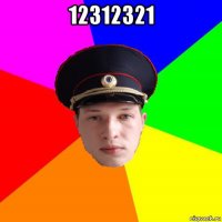 12312321 