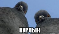  курлык