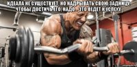 идеала не существует, но надрывать свою задницу, чтобы достичь его, надо... это ведет к успеху. 