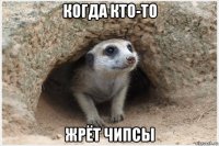 когда кто-то жрёт чипсы