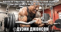 идеала не существует, но надрывать свою задницу, чтобы достичь его, надо... это ведет к успеху. ©дуэйн джонсон