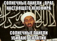 солнечные панели - враг настоящего некефира солнечные панели убивают салатик