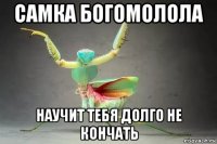самка богомолола научит тебя долго не кончать
