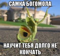 самка богомола научит тебя долго не кончать