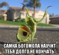  самка богомола научит тебя долго не кончать