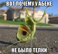 вот почему у абеке не было телки