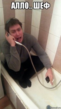 алло.. шеф 