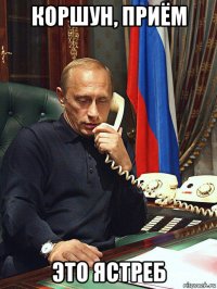 коршун, приём это ястреб