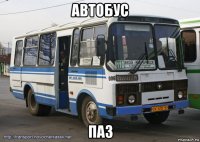 автобус паз