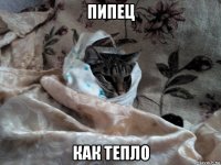 пипец как тепло
