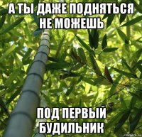 а ты даже подняться не можешь под первый будильник