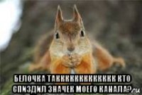  белочка таккккккккккккк кто спиздил значек моего канала?