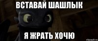 вставай шашлык я жрать хочю
