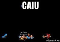 caiu 