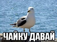  чайку давай
