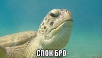  спок бро