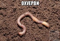 охуерви 