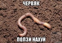 червяк ползи нахуй