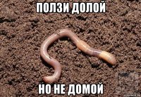 ползи долой но не домой