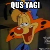 qus yagi 