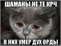 шаманы не те крч в них умер дух орды