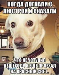 когда догнали с люстрой и сказали что не уступил пешеходу и ещё проехал на красный свет..