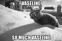 vaseline so much vaseline