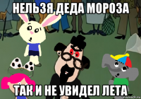 нельзя деда мороза так и не увидел лета