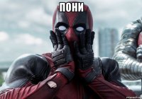 пони 
