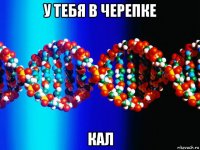 у тебя в черепке кал