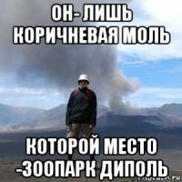 он- лишь коричневая моль которой место -зоопарк диполь