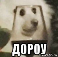  дороу