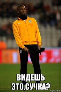  видешь это,сучка?